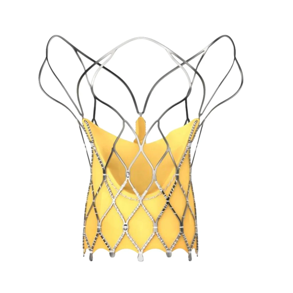 hydra tavi